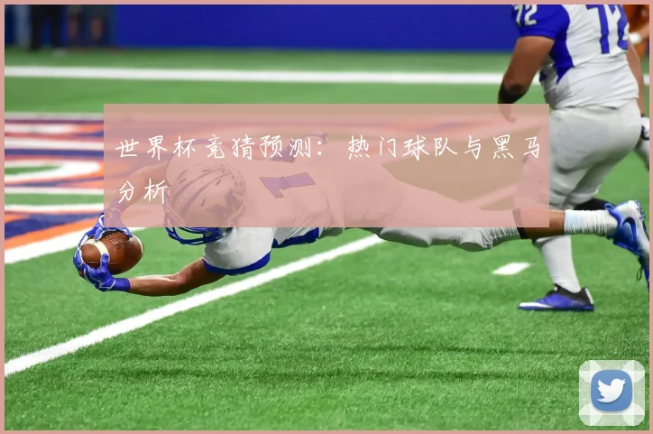 世界杯竞猜预测：热门球队与黑马分析