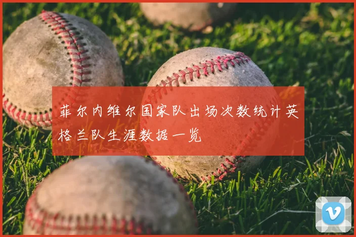 菲尔内维尔国家队出场次数统计英格兰队生涯数据一览