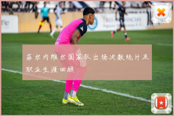 菲尔内维尔国家队出场次数统计及职业生涯回顾