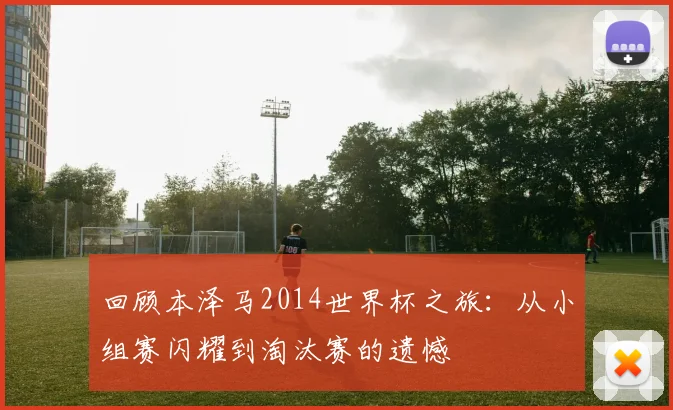 回顾本泽马2014世界杯之旅：从小组赛闪耀到淘汰赛的遗憾