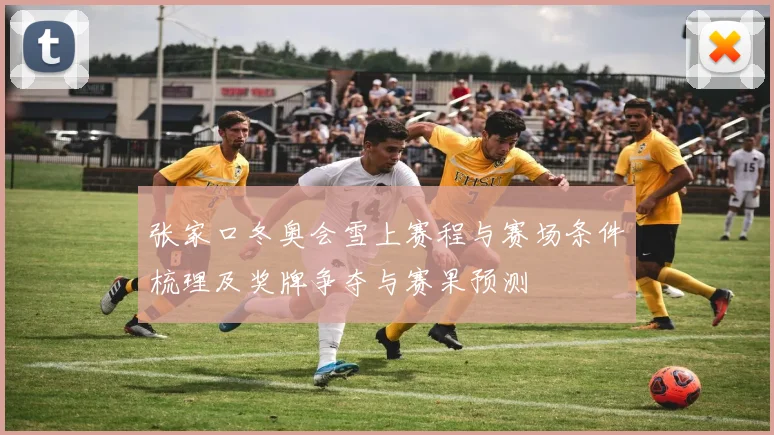 张家口冬奥会雪上赛程与赛场条件梳理及奖牌争夺与赛果预测