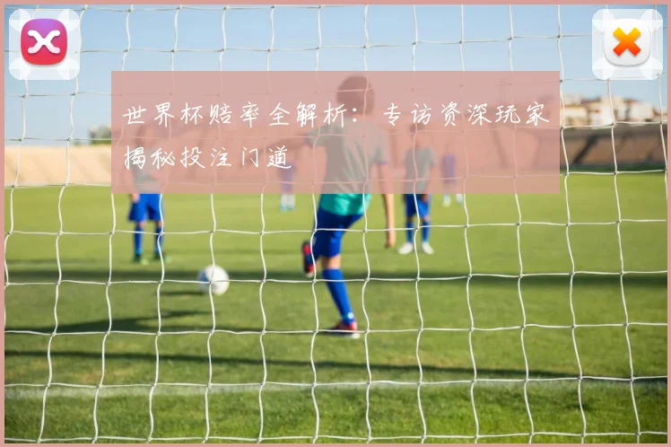 世界杯赔率全解析：专访资深玩家揭秘投注门道