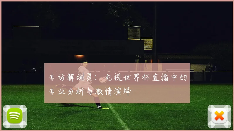 专访解说员：电视世界杯直播中的专业分析与激情演绎